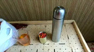 Сколько ягод шиповника заваривать в литровом термосе