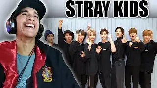 REAGINDO A STRAY KIDS Crack BR - KEIPOPZIN