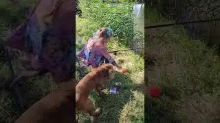 Учим Василису рыбачить! Солнечные пруды 28 августа 2024.