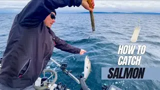 HOW and WHERE to fish for WINTER CHINOOK Salmon
