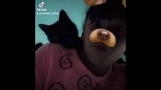 Я как Федерико Феллини 😄