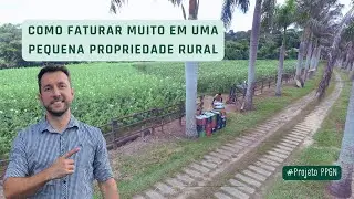 Como faturar muito em uma pequena propriedade rural