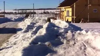 Компот VS Солёные огурцы