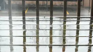 30 MINUTES Gentle Rain, Rain Sounds for Sleep, Insomnia, Relaxing, Meditation, Yoga, Study