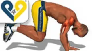 Chest Shoulders & Triceps