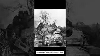 33-я добровольческая кавалерийская дивизия СС  #германия #history #ww2 #история #война #cc #венгрия