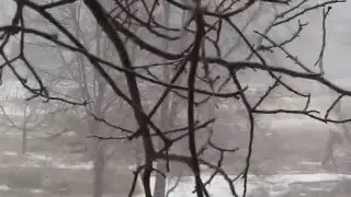 первый снег