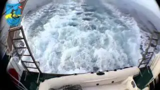 Türk Balıkadamlar Kulübü - Ayvalık Dalış Organizasyonu (20150927)