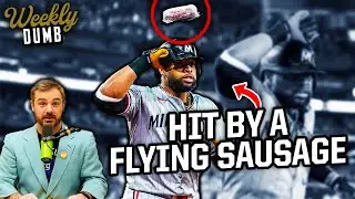 Carlos Santana gets hit by a sausage & Chinese zoo paints dogs to look like pandas | Weekly Dumb