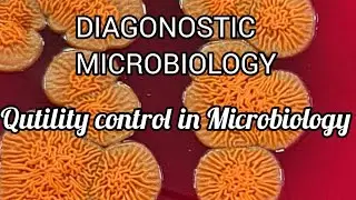 Quality Control in Clinical Diagnostic Microbiology Laboratory. IQCP, Validation, and Verification.