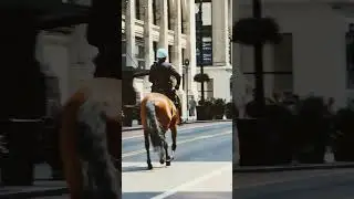 NYPD on Horse In Manhattan #travel
