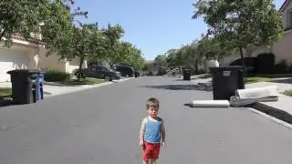 Murray Flys to the Sky