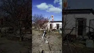 Обрезка плодового сада на приусадебном участке. Февраль 2022 года. Золотое Поле.