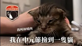 我在中元節撿到一隻貓 #林燒肉