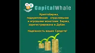 capital whale ! Кем ты сможешь стать у нас!