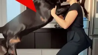 O cachorro nunca deixa a mulher sozinha. Quando o marido descobre a razão, corre para a polícia