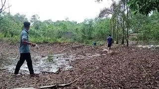 survival tactics d