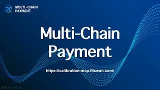 MCP  Multi-Chain Payment Gateway V1.0.0 User Guide Tutorial