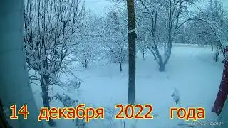 ЗИМА  2022
