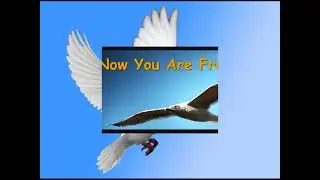 Cover song : Sergey von Wysocki ( Now You Are Free  / Tyros 5 )
