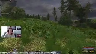 S.T.A.L.K.E.R. - История Прибоя, стрим пятый