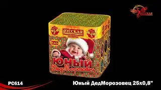 Юный ДедМорозовец РС614 / РС6420 (0,8