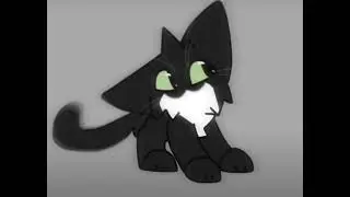 maxwell
