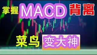 美股技术分析跟我学之MACD|掌握MACD顶背离和底背离|菜鸟秒变大神！！#主力 #赚钱 #macd