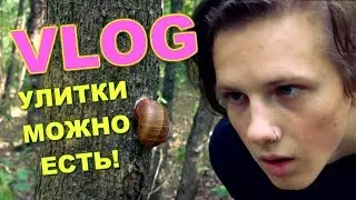 VLOG ● Улитки можно есть