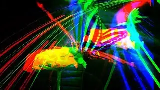 PLEASURES 3D