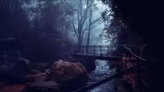 Water Stream | RELAXING PEACEFUL  | COZY AFTER DARK EVENING REST #whitenoisetosleep #riversound