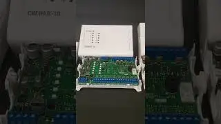 Сигнал-10 Болида, отличия