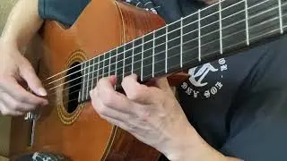 La Paloma