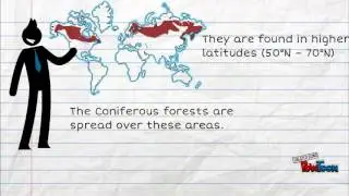 Coniferous Forest