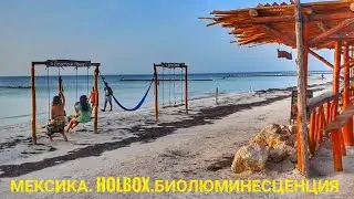 Vlog2. Гуляем по пляжу на Holbox, Мексика. Лагуна со светящимся планктоном.