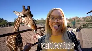 We Went To The Zoo 🐆