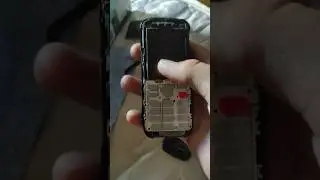 18 июня 2024 г.