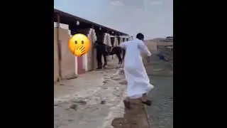 кто кого дрессирует