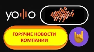 Yolllo брифинг с руководством компании (01.05.2023) #Ольга_Никульшин, #NFT, #блокчейн, #заработок.