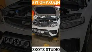 Нужна ли сетка в бампере? 🤣 #угонуходи #воробей #geely