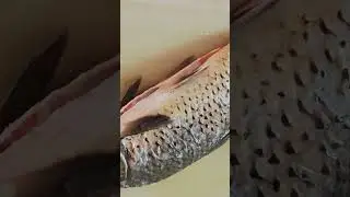 пишите в комм если хотите ролики по блек раше #активпж #подпишись