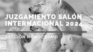 Juzgamiento Salón Internacional 2024