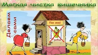 Мягкая чистка кишечника