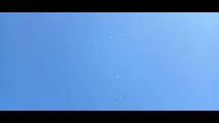 25 июня 2023 г.