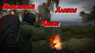 DayZ