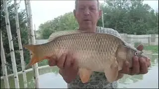 Поймал!!! ХОРОШИЙ! Вот такая рыба водится в моём СОБСТВЕННОМ ПРУДУ!