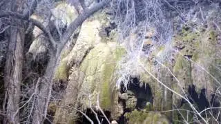 Gorman Falls