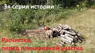 Расчистка участка перед планировкой. 3я серия.  Реальная история ДВ Гектар. Стволы для беседки.