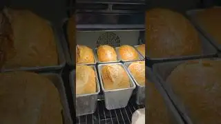 Bread with artificial additives 