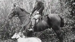 УСАДЬБА ВОЛЫШОВО. Порховский район.